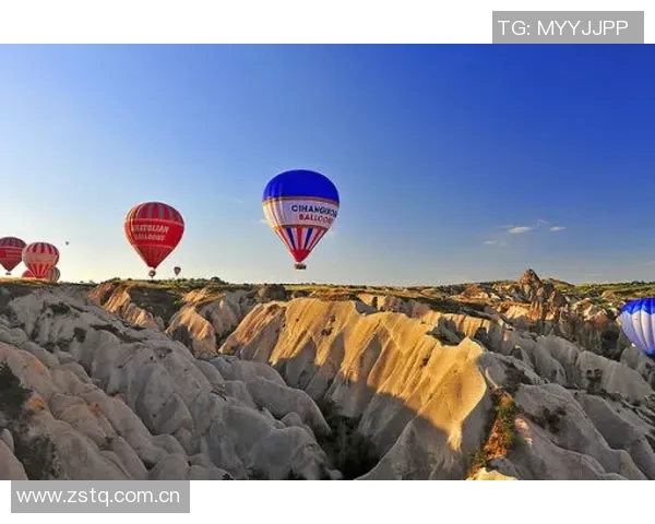 萨内顺利融入加拉塔萨雷计划12月全家迁往土耳其生活 萨内顺利融入加拉塔萨雷计划12月全家迁往土耳其生活